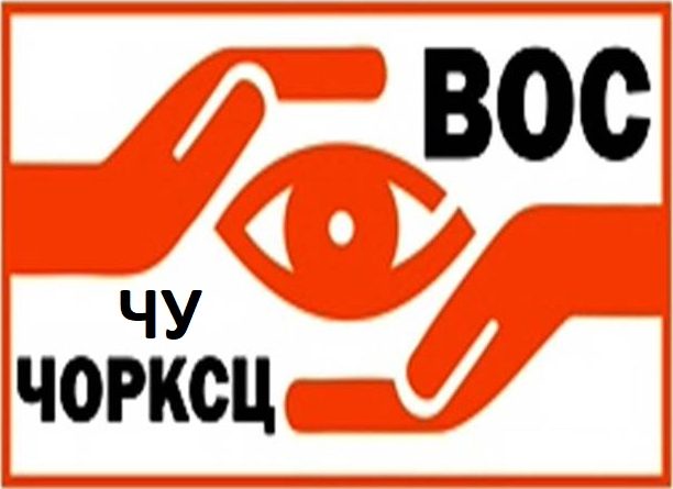 Частное учреждение «Челябинский областной реабилитационный культурно-спортивный центр Общероссийской общественной организации инвалидов «Всероссийское ордена Трудового Красного Знамени общество слепых»